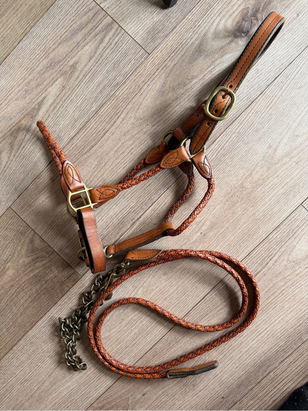 Hamilton Leather braided halter with lead rope in Cognac
